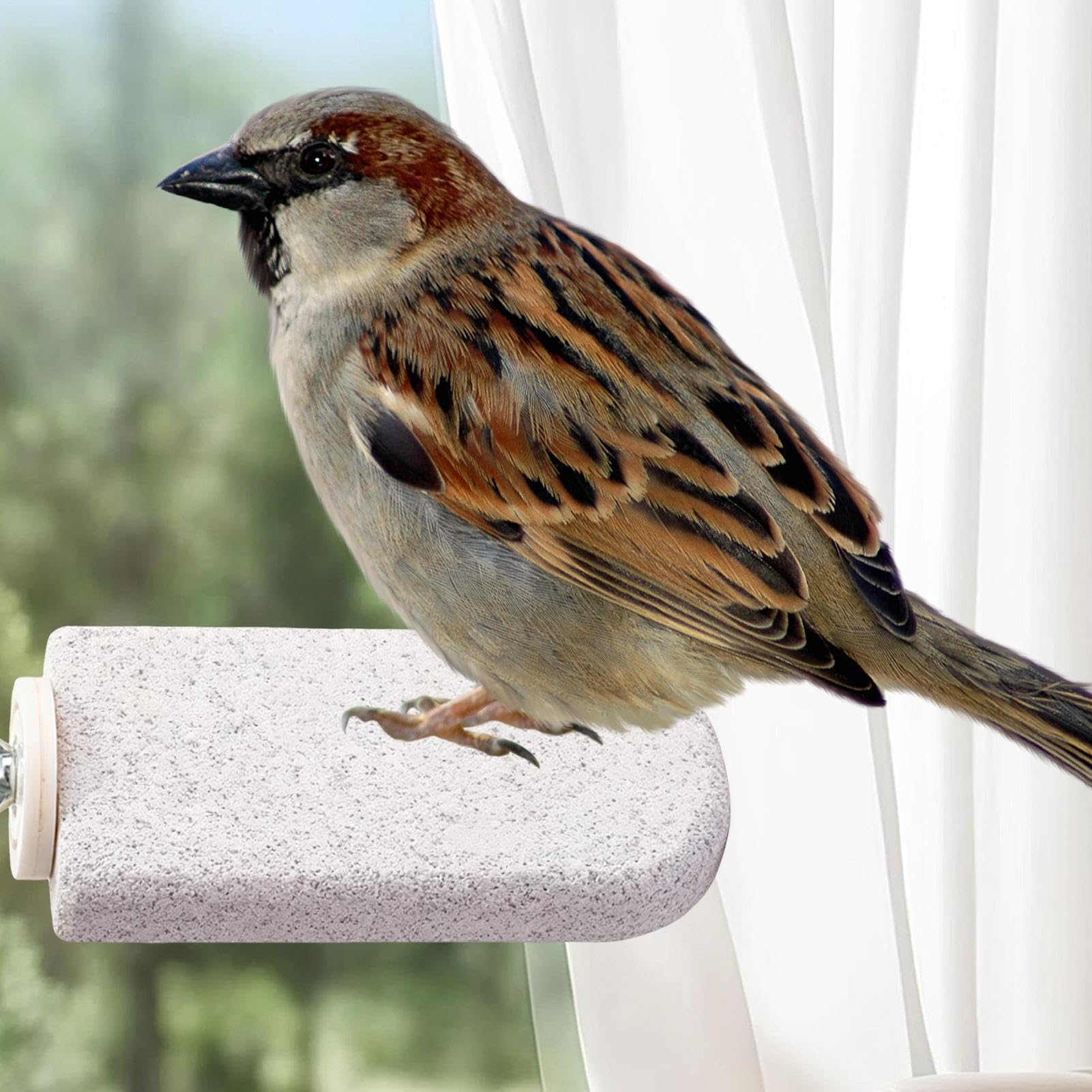Vogelsitzstangen für den Vogelkäfig
