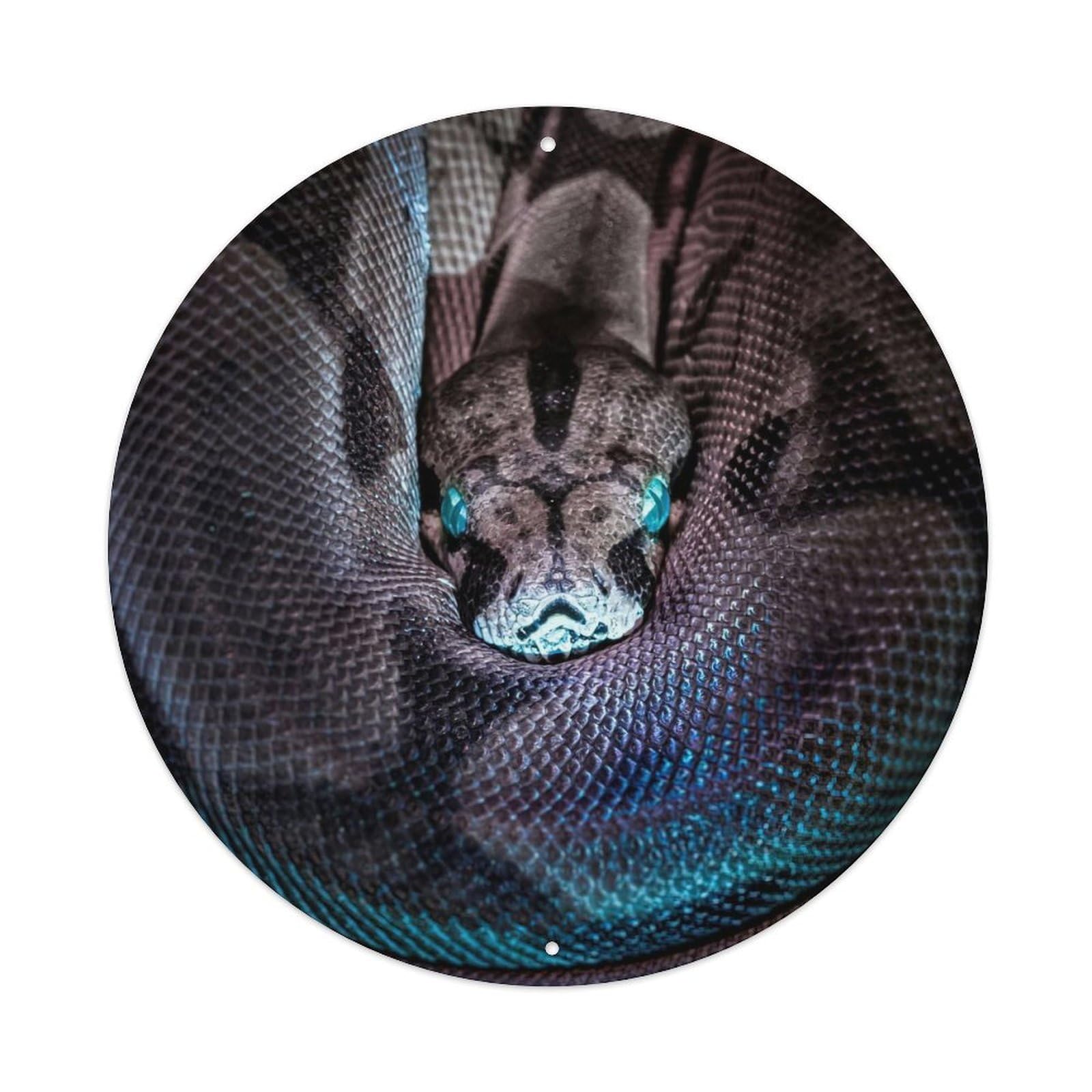 Animal Python Snake Blue Eyes Glowing Scales Dark Aesthetic Vintage Metal Tin Sign Plaque Wall Decor for Cafe, Club Bar, Office, Garden Metal Poster 8x8Inch