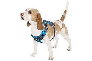Outward Hound Boulder Adventure Dog Harness with Pockets
