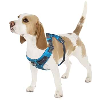 Amazon.com: Outward Hound Boulder Adventure Adjustable Dog