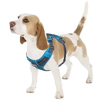 Amazon.com: Outward Hound Boulder Adventure Adjustable Dog