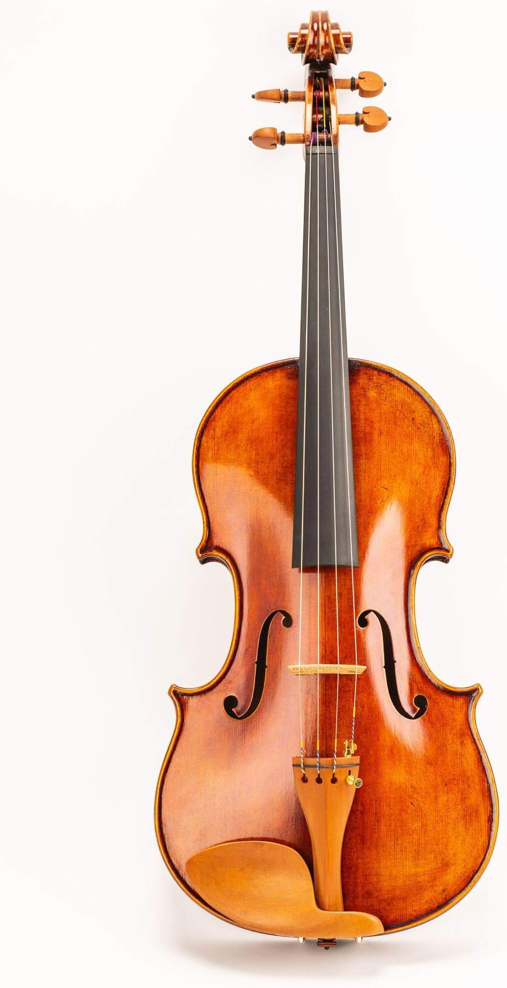 D Z Strad Viola Model N2011 with D Z Strad Bow, Case, Rosin and Shoulder Rest (Size - 16")