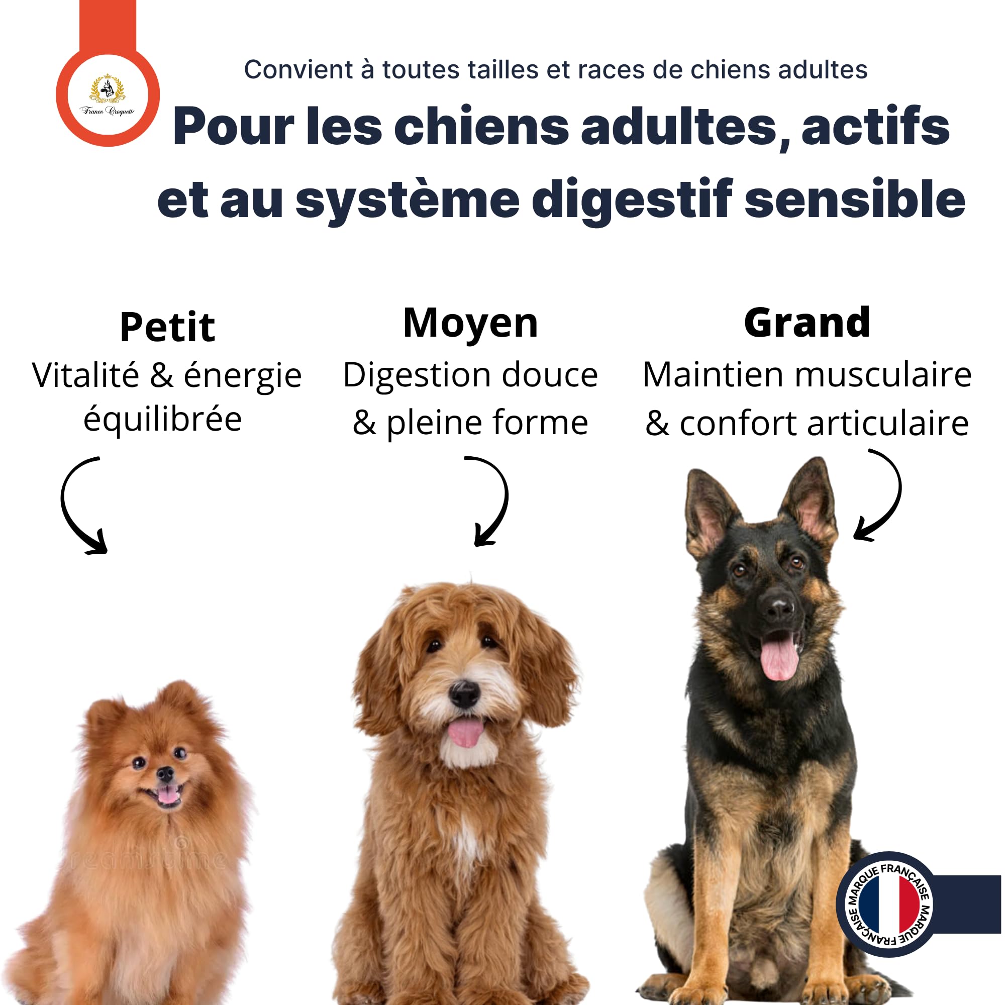 Croquettes hypoallergéniques Chien Adulte France Croquettes Royal Agneau – sans blé, hautement digestes, Riches en protéines, avec prébiotiques & probiotiques pour Flore intestinale Saine - 12KG