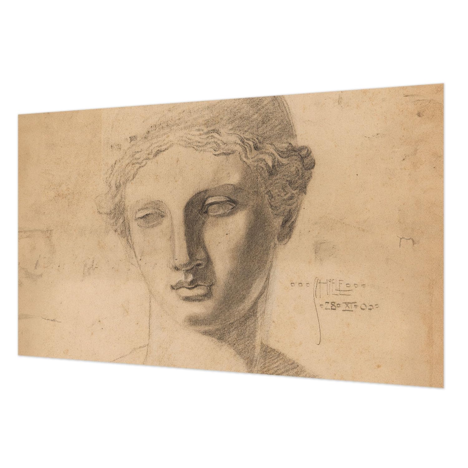 Revêtement mural intissé 416x254 cm avec impression haute qualité portrait géant