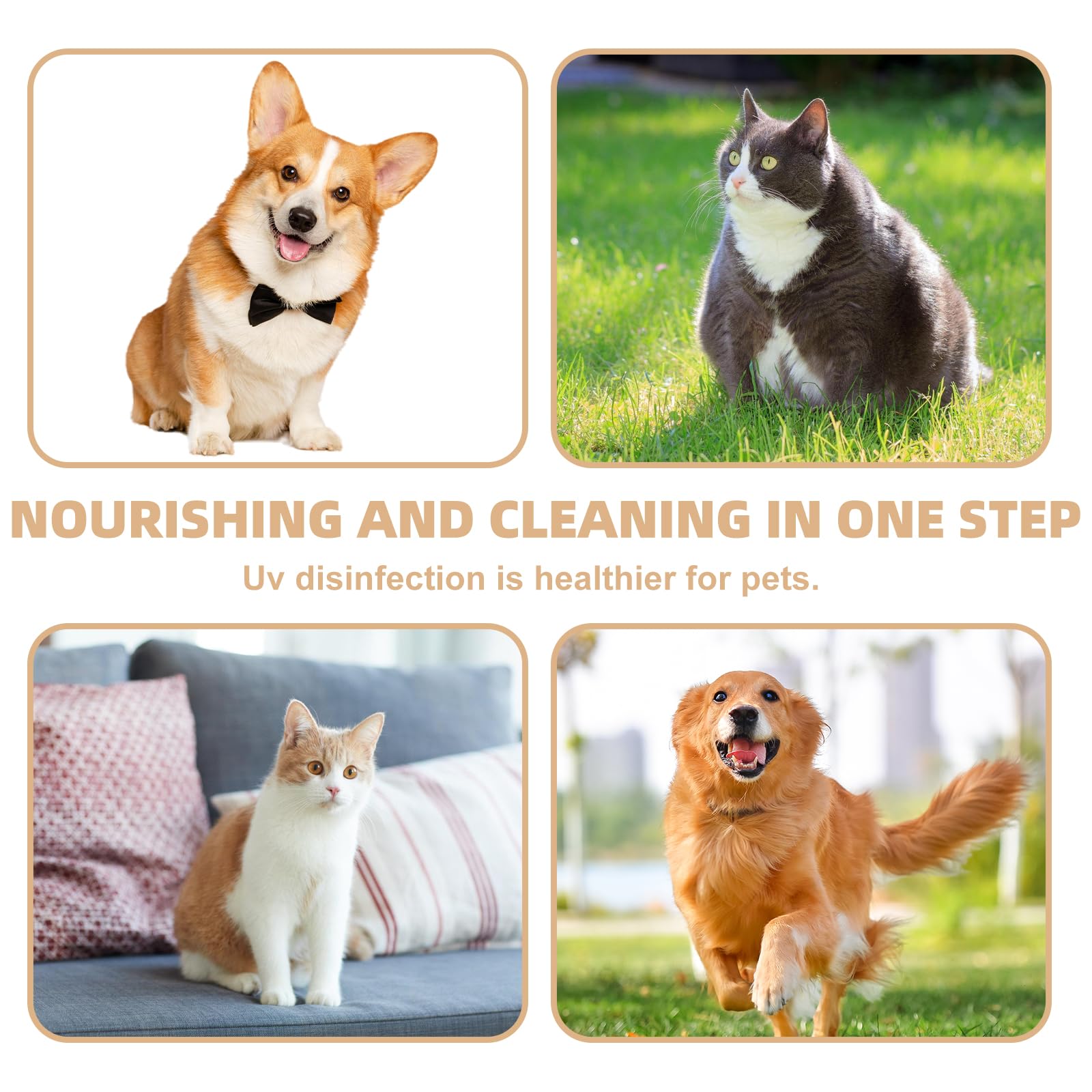 Cabezal de ducha para perros con 3 tipos de chorro, cabezal de ducha para perros con cerdas de silicona para un cuidado eficaz del pelaje, cabezal de ducha para soporte de baño de mascotas, adecuado