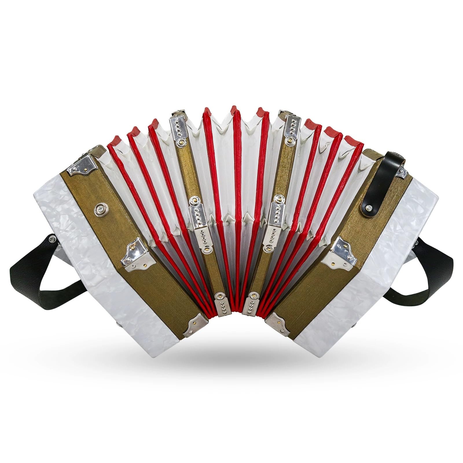 Concertina Anglo, Concertina Vintage a 20 Bottoni, Principianti, Appassionati di Musica, Pratica Professionale, Viaggi, Musica Folk H