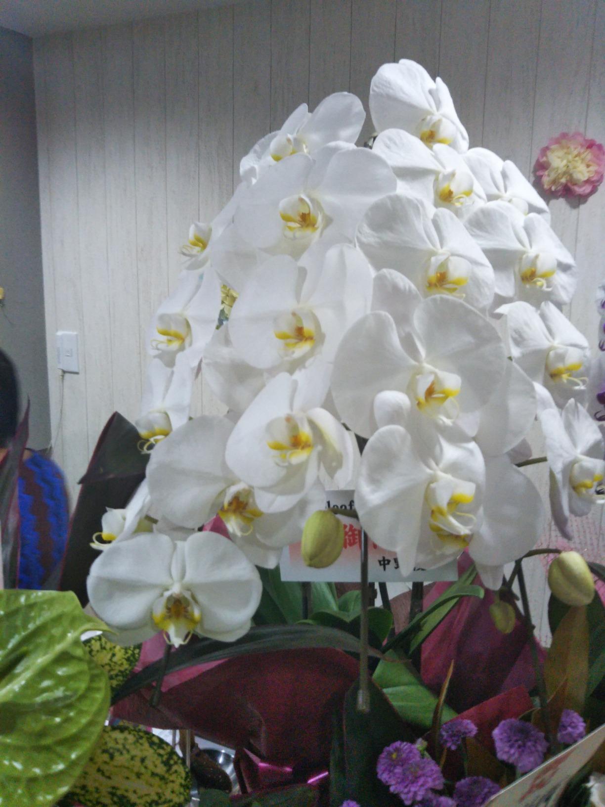 お客様イメージ