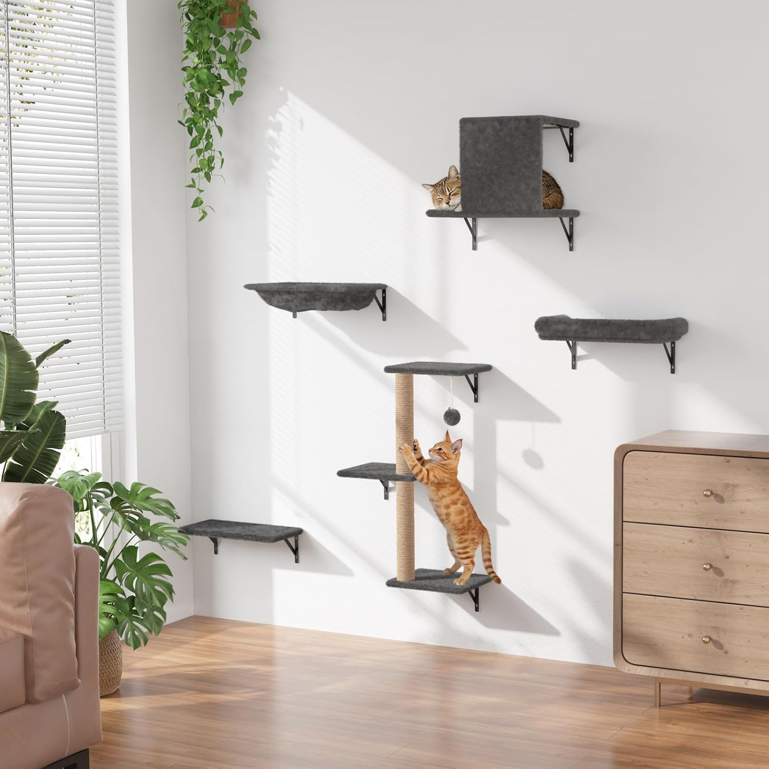 Cat Wall Shelves 5-Piece Set,Cat Walls Furniture for Indoor Large Cats Includes Bed, Cave, Scratching Post, Hammock, Space Saving Floating Shelves (Dark Gray)