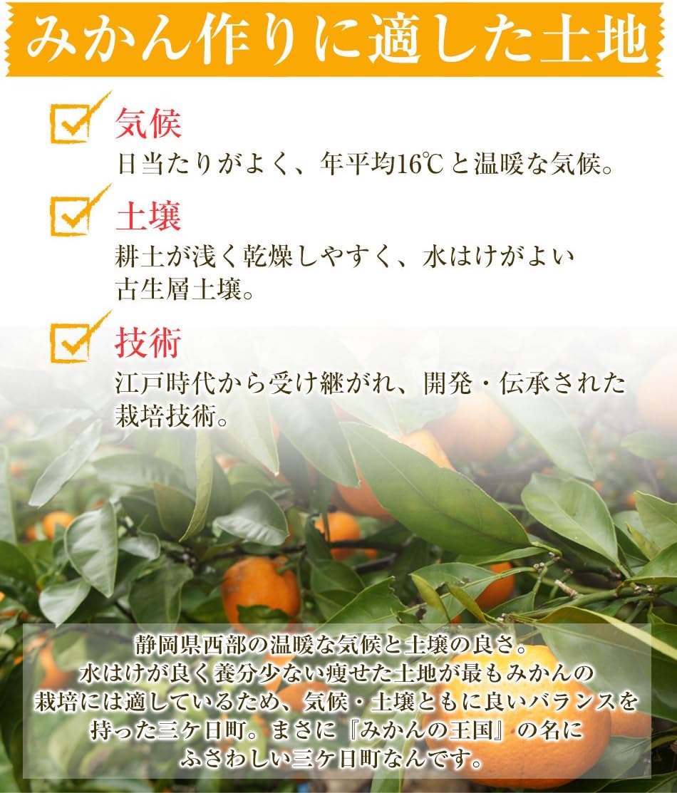 Amazon 静岡県産 特別栽培 三ケ日みかん １ｋｇ 訳あり ピカイチ野菜くん 食品 飲料 お酒 通販