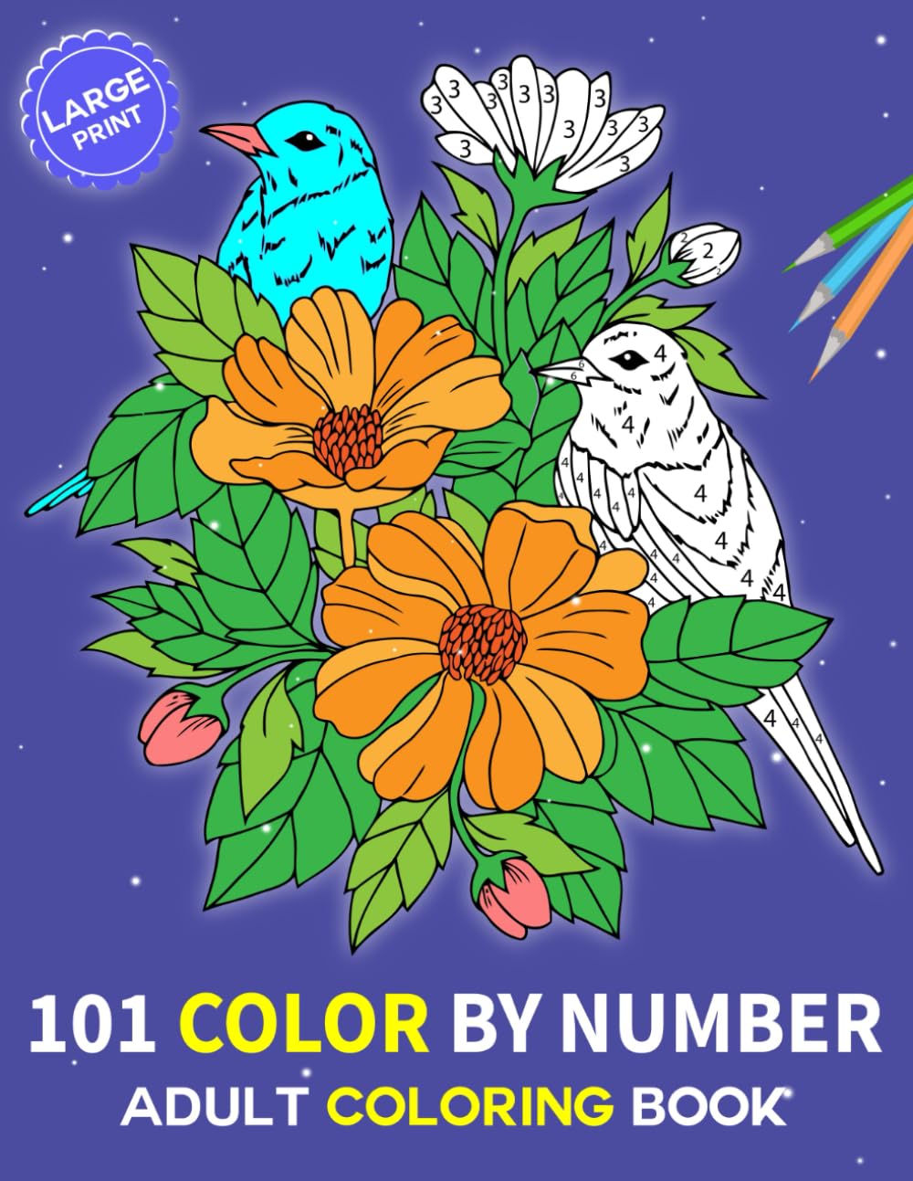 101 Large Print Color By Number Adult Coloring Book: Easy coloring pages of beautiful flowers, birds, butterflies, animals, landscapes, mandalas, patterns, and more