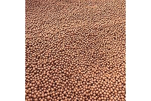 Practical Hydroponics Ceramsite Balls: Enhance Plant Health and Aesthetics