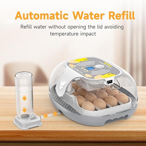 Miniatura 5 de Apdoe Incubadora de 16 huevos para incubar huevos, pantalla de humedad y día de eclosión, girador automático de huevos, vela de huevos, divisores