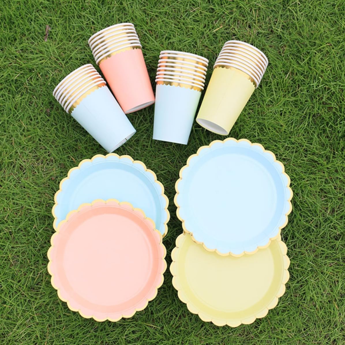 BESTonZON Disposable Paper Plates and Party Paper Cups Set 80pcs Made of Practical and Time-saving Dinnerware for Party Use with Unique and Refined Design