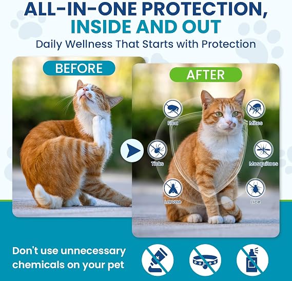 Chewable Flea Treatment for Cats Flea and Tick Prevention for Cats Chewables Fleas Chewables for Cat