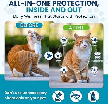 Chewable Flea Treatment for Cats Flea and Tick Prevention for Cats Chewables Fleas Chewables for Cat