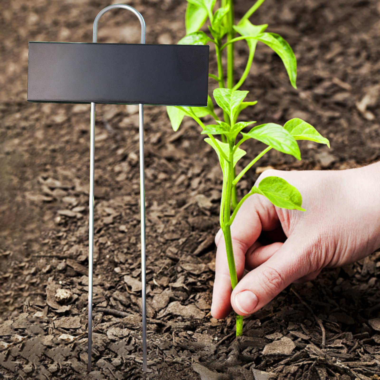 Lot de 30 étiquettes en métal en acier inoxydable résistant aux intempéries pour plantes de jardin avec stylo pour semis, fleurs, herbes, légumes (noir)