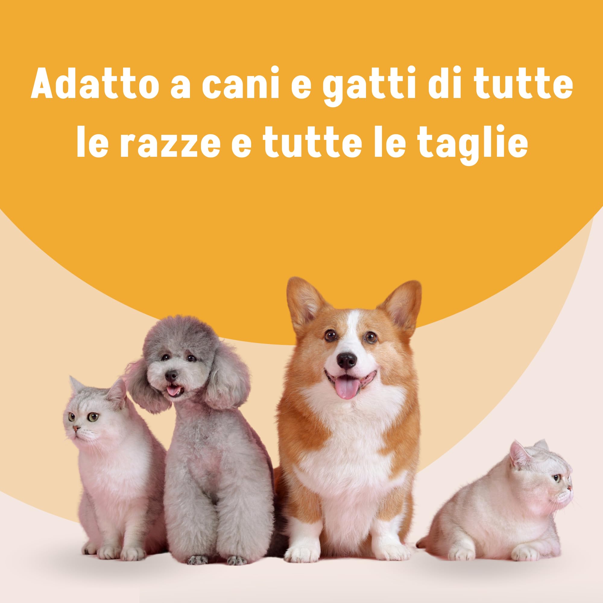 Entero Diar - Alimento Complementare a particolare fine nutrizionale per Cani e Gatti - Supporto Intestinale - Pasta Appetibile - Ideale per Recupero e Convalescenza