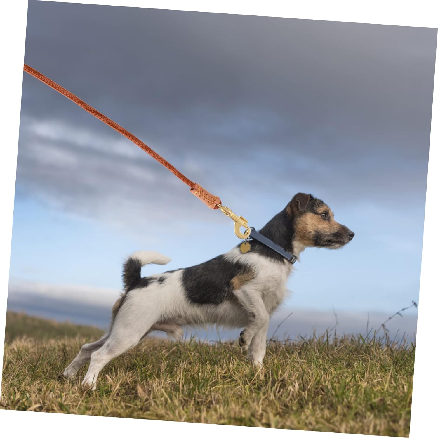 Mikikit 20m Heavy Duty Dog Training Leash for Breeds Nylon Pet Walking Rope for Outdoor Use for Training Activities