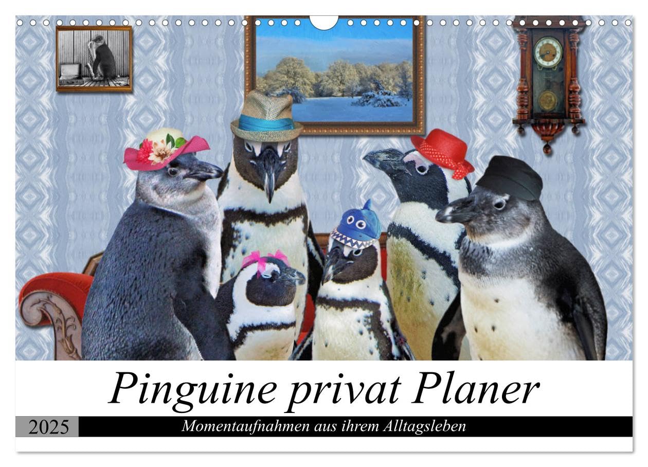 Pinguine privat Planer (Wandkalender 2025 DIN A3 quer), CALVENDO Monatskalender: Momentaufnahmen aus ihrem Alltag (CALVENDO Spass)