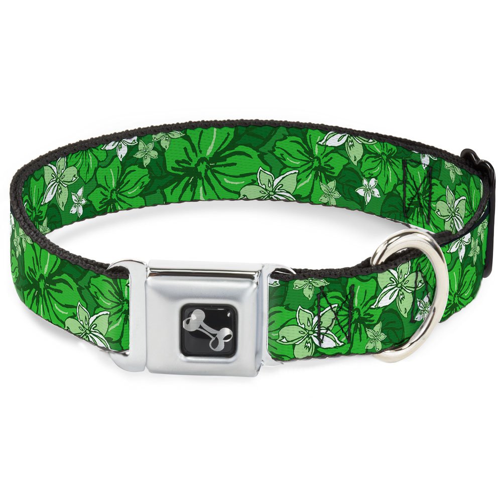 Collier pour chien Buckle Down vert idéal pour les promenades en forêt