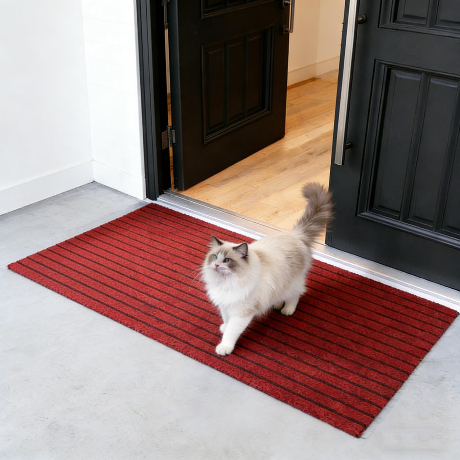 Paillasson extérieur entrée haut de gamme durable et sur mesure