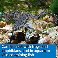 Vista 6 de API Turtle, Destructor de lodo, 8 onzas