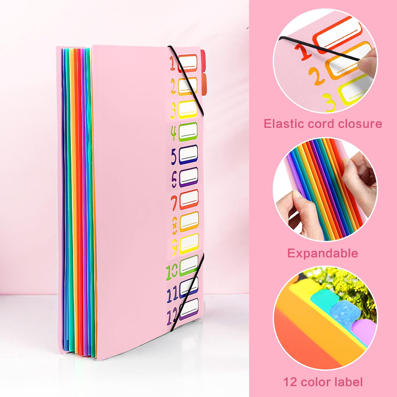 Carpeta Organizadora A4 Con 5 Compartimentos - Incluye 24 Etiquetas, Sobres Y Bolígrafo, Ideal Para Oficina