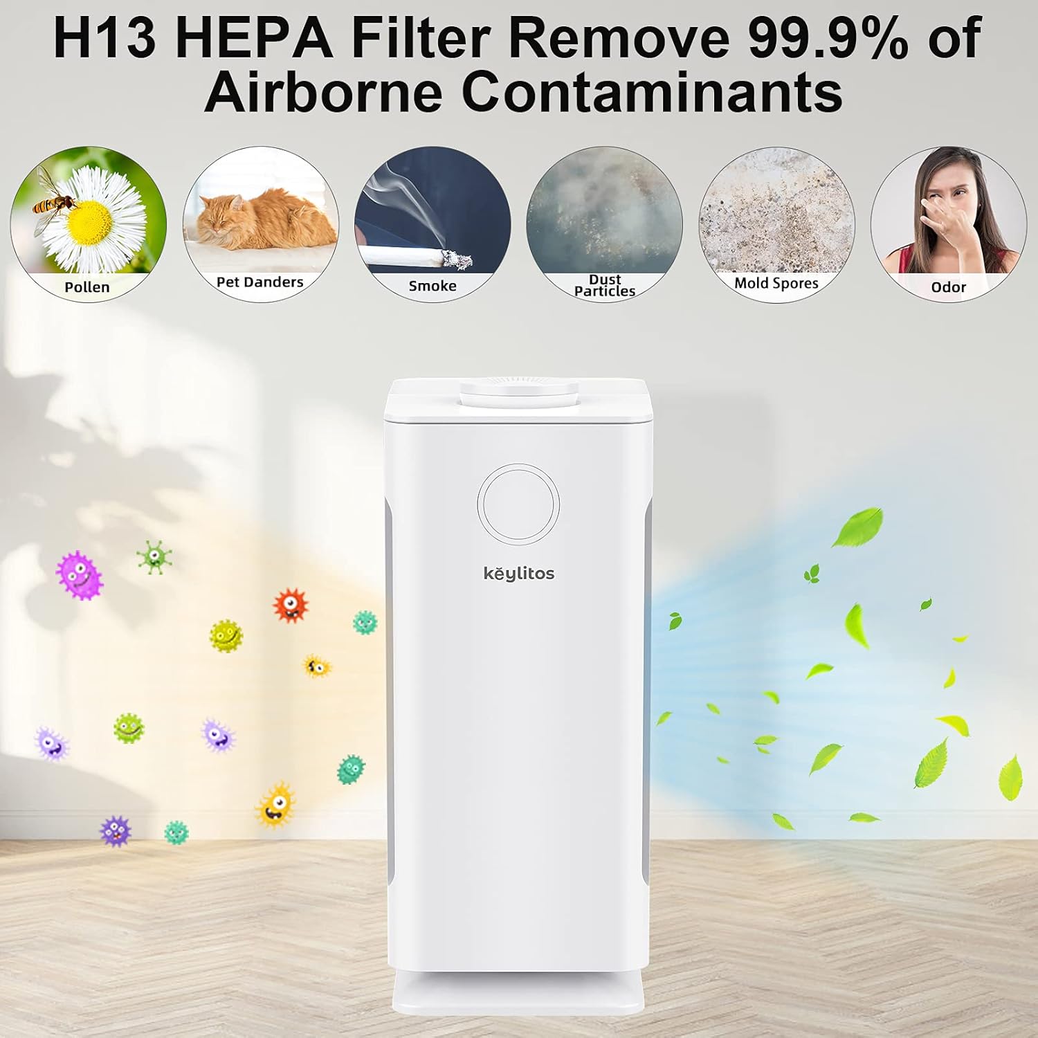 Diagram showing the H13 HEPA filter removing 99.9% of airborne contaminants like pollen, pet dander, smoke, dust particles, mold spores, and odor.