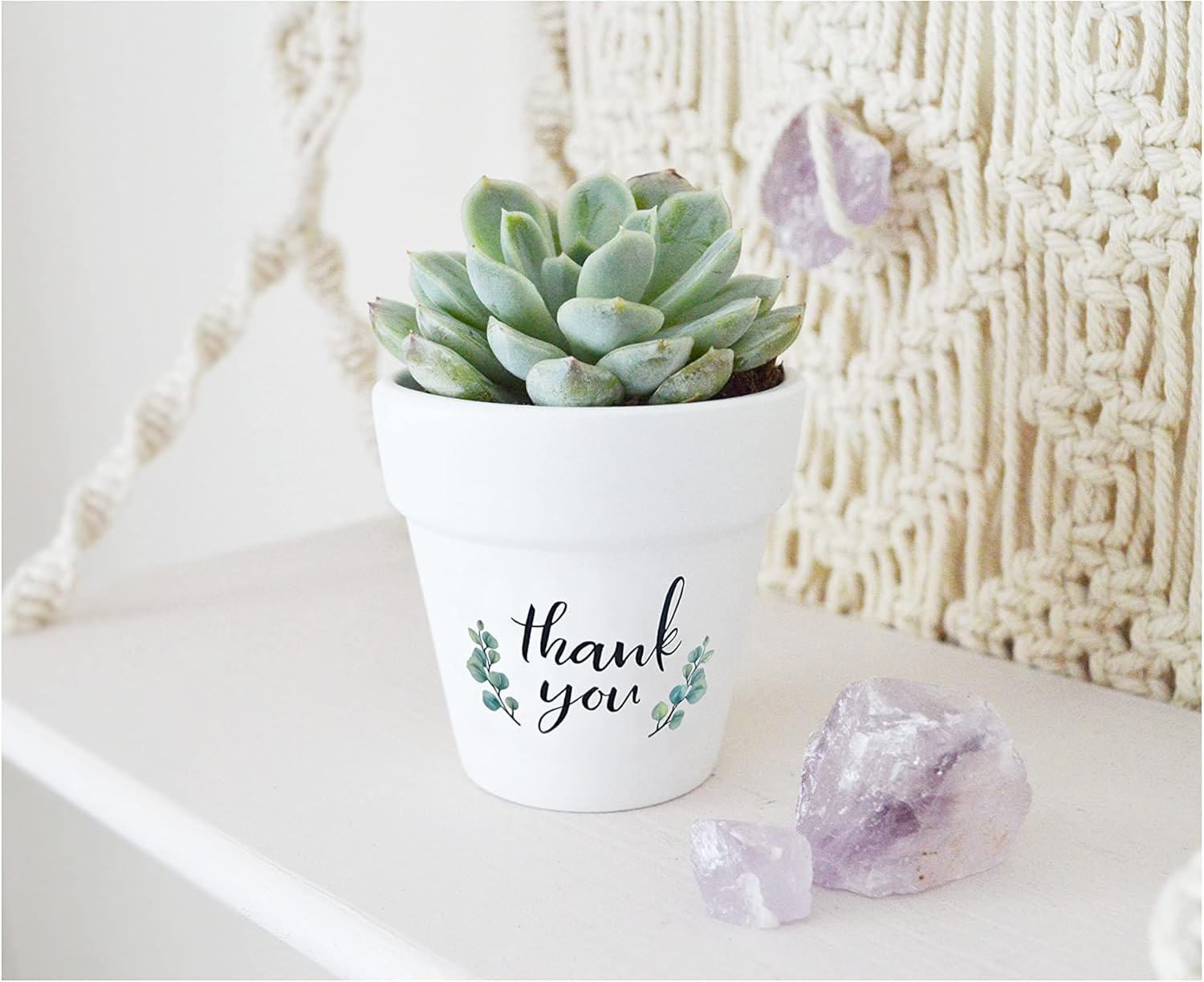 2.5 Inch Succulent Pots - 20 Pcs Mini White Terracotta Pots for Succulents, Flowers & Decorations