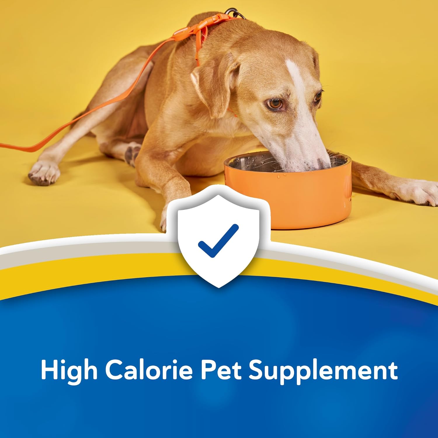 Doc Roy’s Forti Cal High Calorie Nutritional Supplement for Dogs and Cats, Supports Energy and Appetite, Ideal for Puppies, Kittens, and Active Pets, Roast Beef & Liver Flavor, 454g Granules