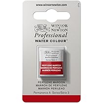 Winsor & Newton Professional – Vernici ad acquerello, vivaci e resistenti alla luce, pigmenti per artisti, 1, 2 GODET, colore: Marrone Perilene