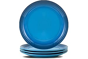 Hasense Ceramic Dinner Plates Set of 4, 10 Inch Large Dinnerware Plates for Kitchen