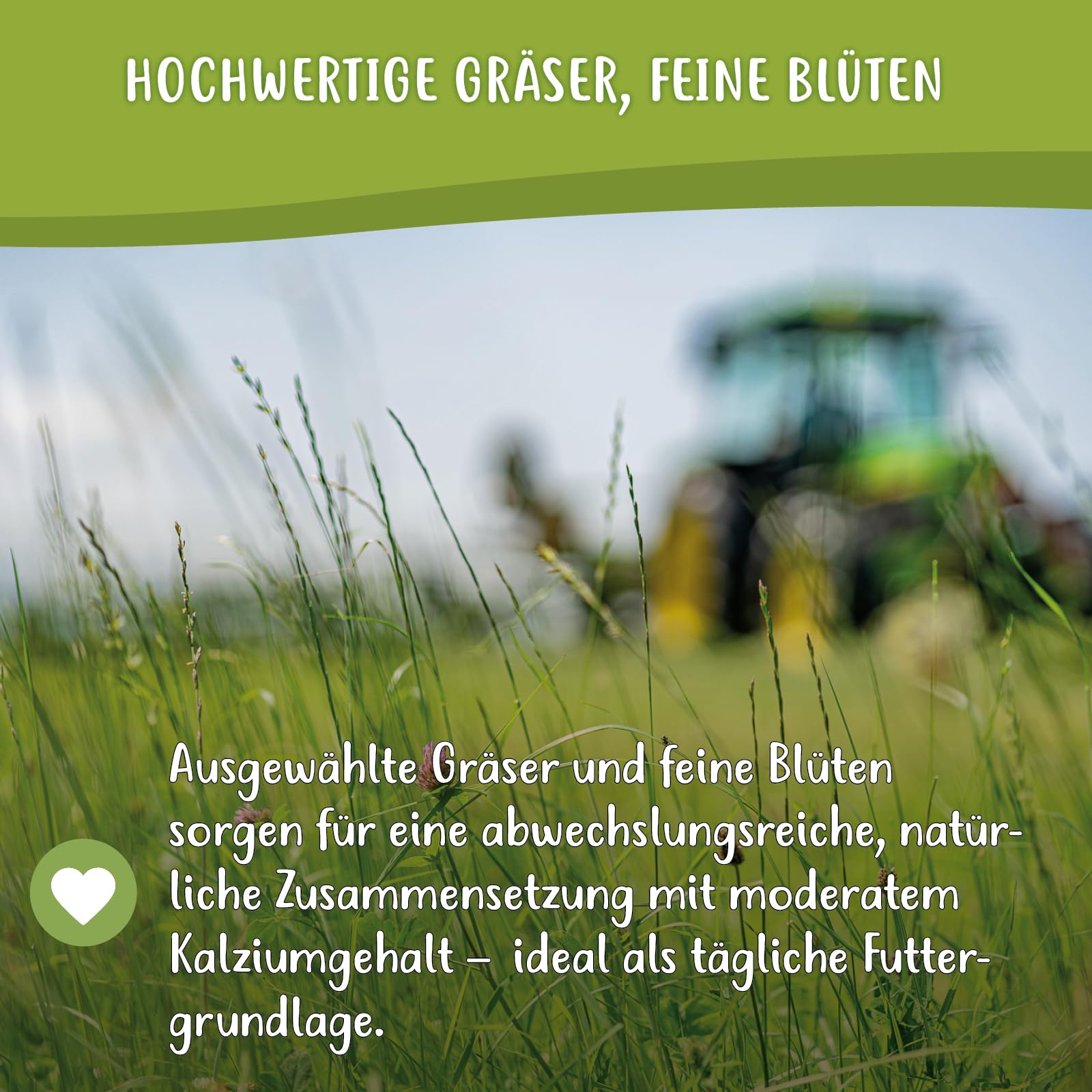 Samerberger Wiesenheu 4 kg – staubarmes, luftgetrocknetes Heu für Kaninchen & Meerschweinchen – regionale Gräser- und Blütenmischung aus Bayern – handverpackt & ohne chemische Zusätze (3)