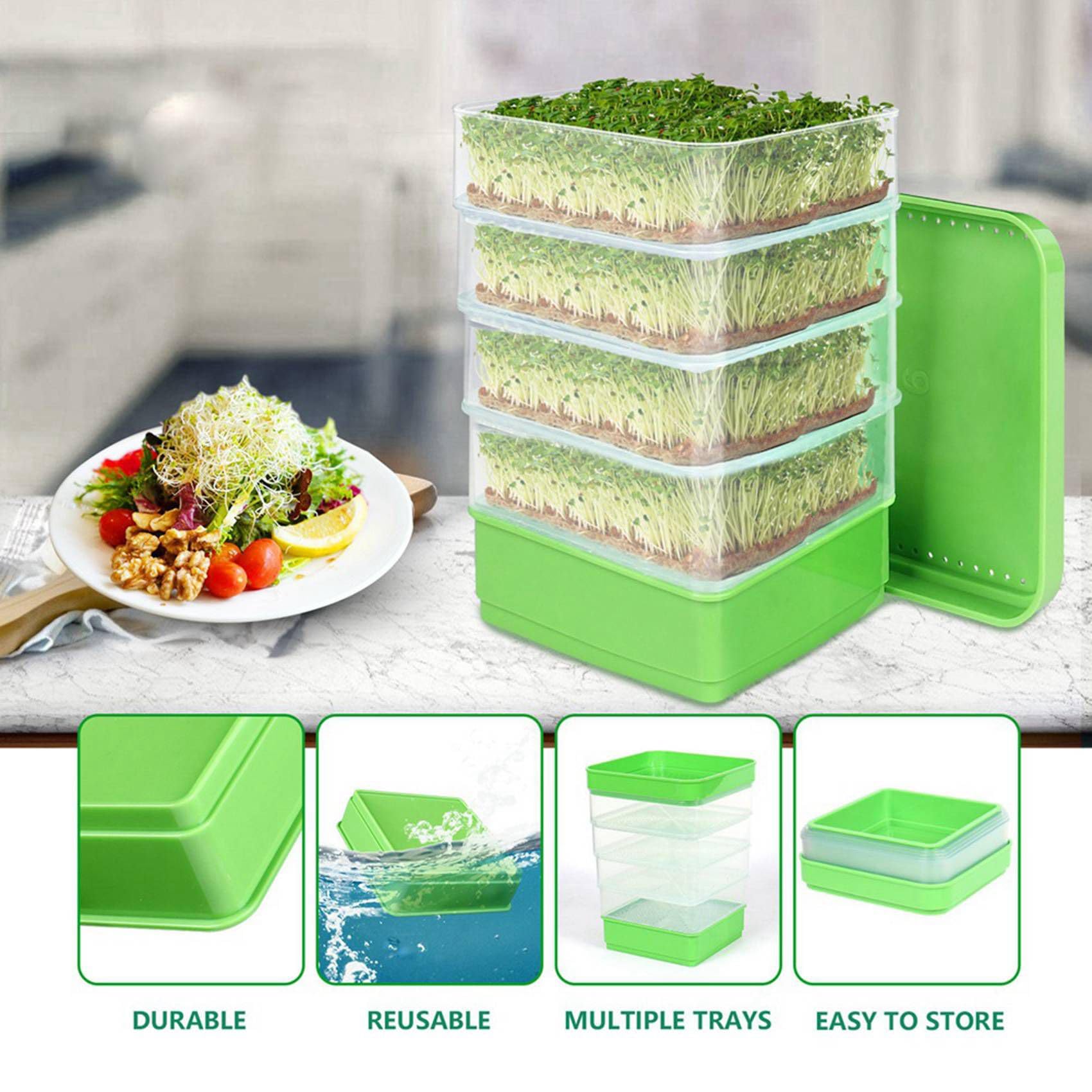 Lot de 2 plateaux de germination de graines de haricots pour plantes microvertes, bac d'égouttement, kit de culture empilable avec quatre niveaux