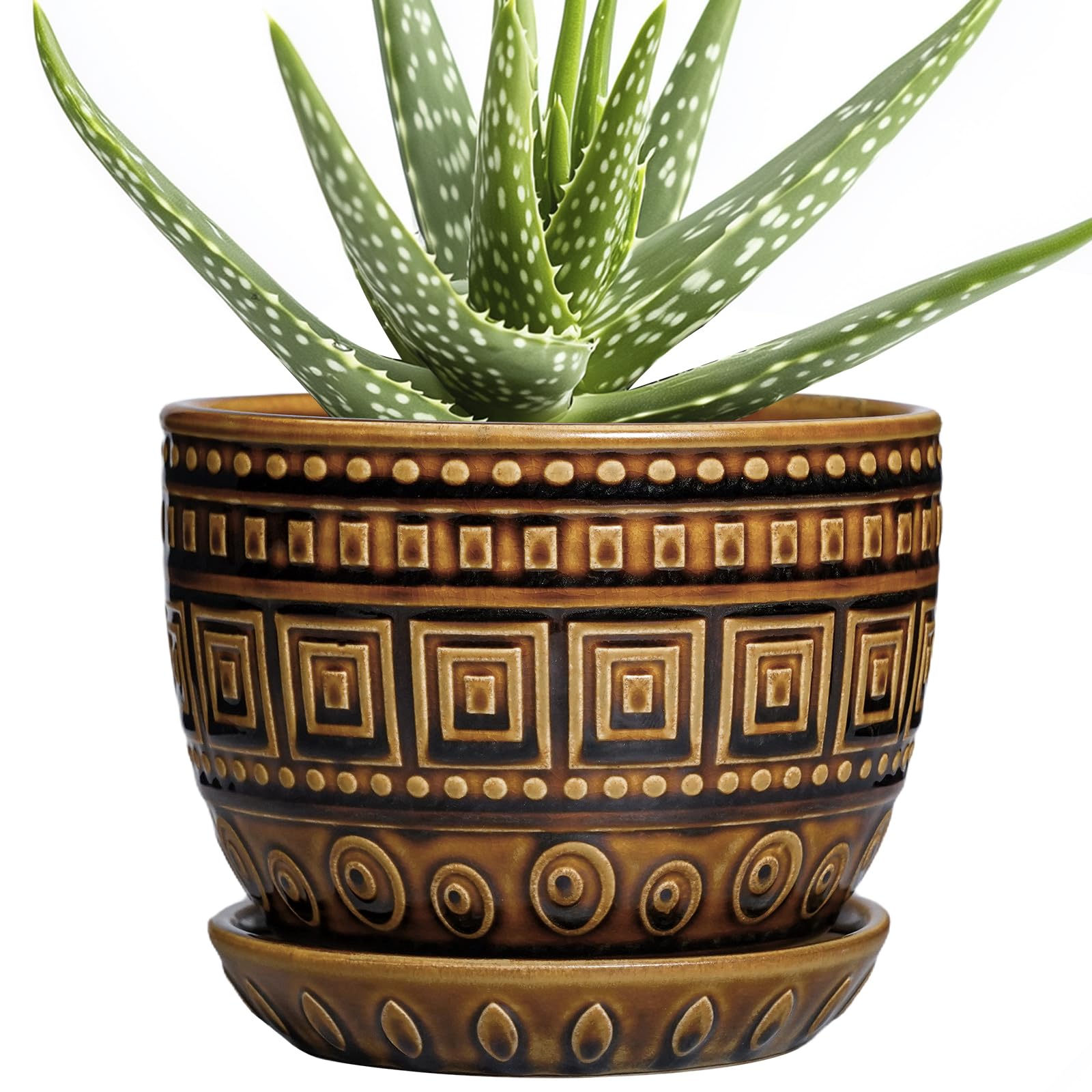 G EPGardening Succulent Pot