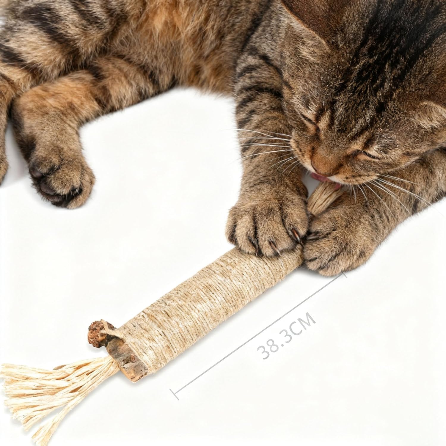 GDSAFS Natural Silvervine Dental Sticks, Silvervine Sticks für Katzen, Interaktiver Katzen-Kaustab für Zahnreinigung, kratz- und bissfest, für Indoor-Kitty-frischen Atem, gesunde Zähne (6-MixAB)