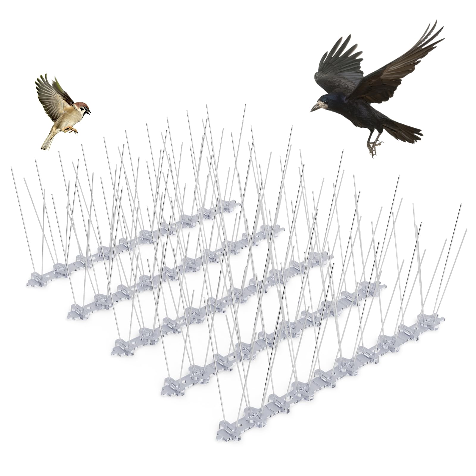 Pics anti-pigeons plastique haute qualité et répulsif oiseaux 5m
