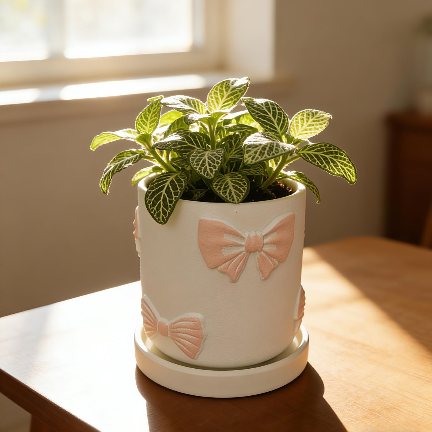 Cute Pink Orchid Pot, Bow Decorative Succulent Planter for Indoor/Outdoor Plants, Hand Painted Pink Bow Cement Flower Pots with Tray/Drainage Hole for Home Room Decor