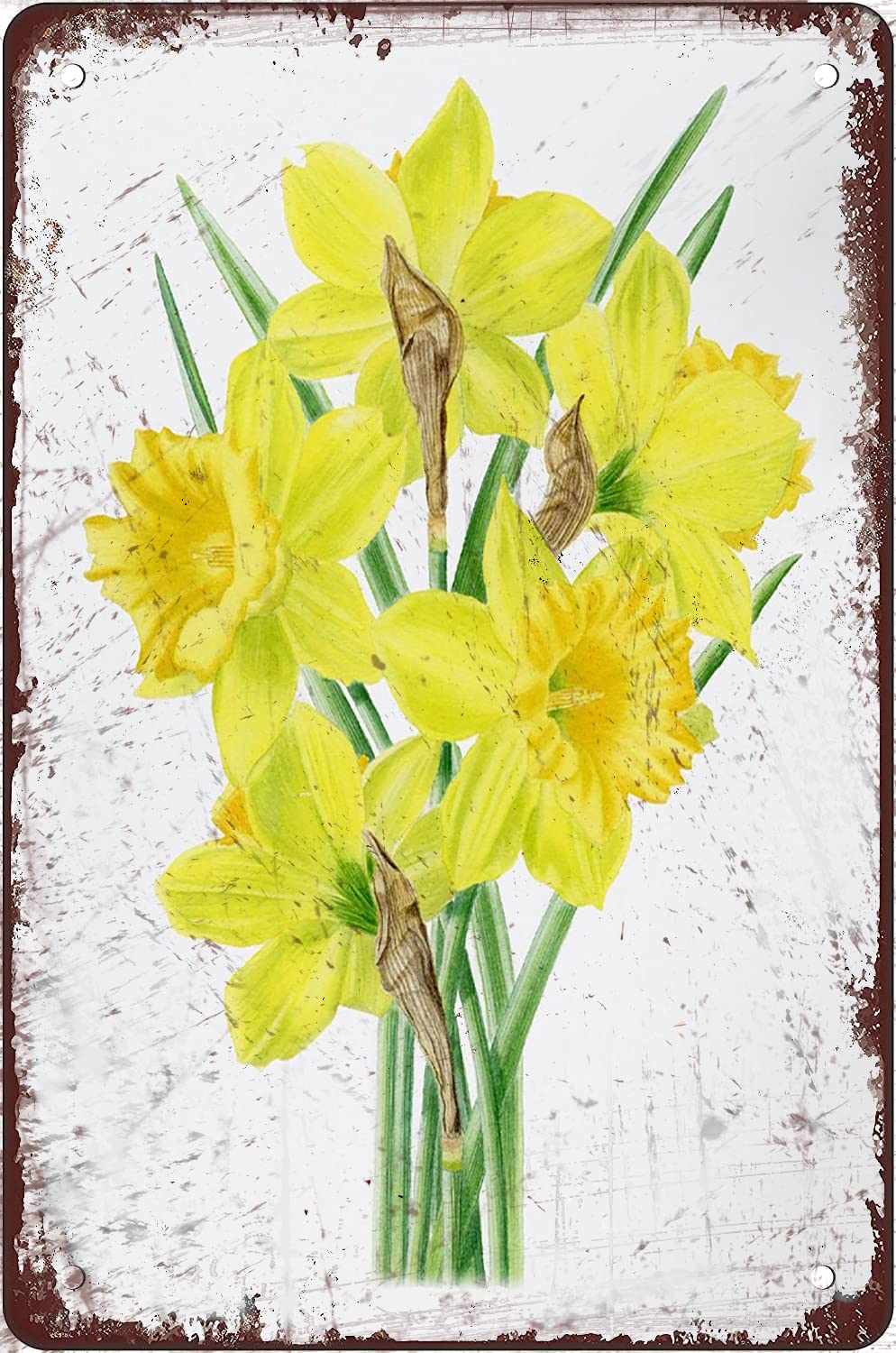 March Birth Flower Yellow Flower Floral Daffodil Tin Sign Easter Poster Gift for Women Men Wall Decor Funny Metal Signs for Kitchen Home Office Bar Cafe Decor 8x12 Inch