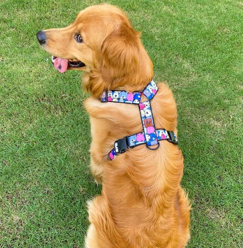 Lana Paws Googly Eyes Nonrestrictive, Comfortable & Sturdy H Harness