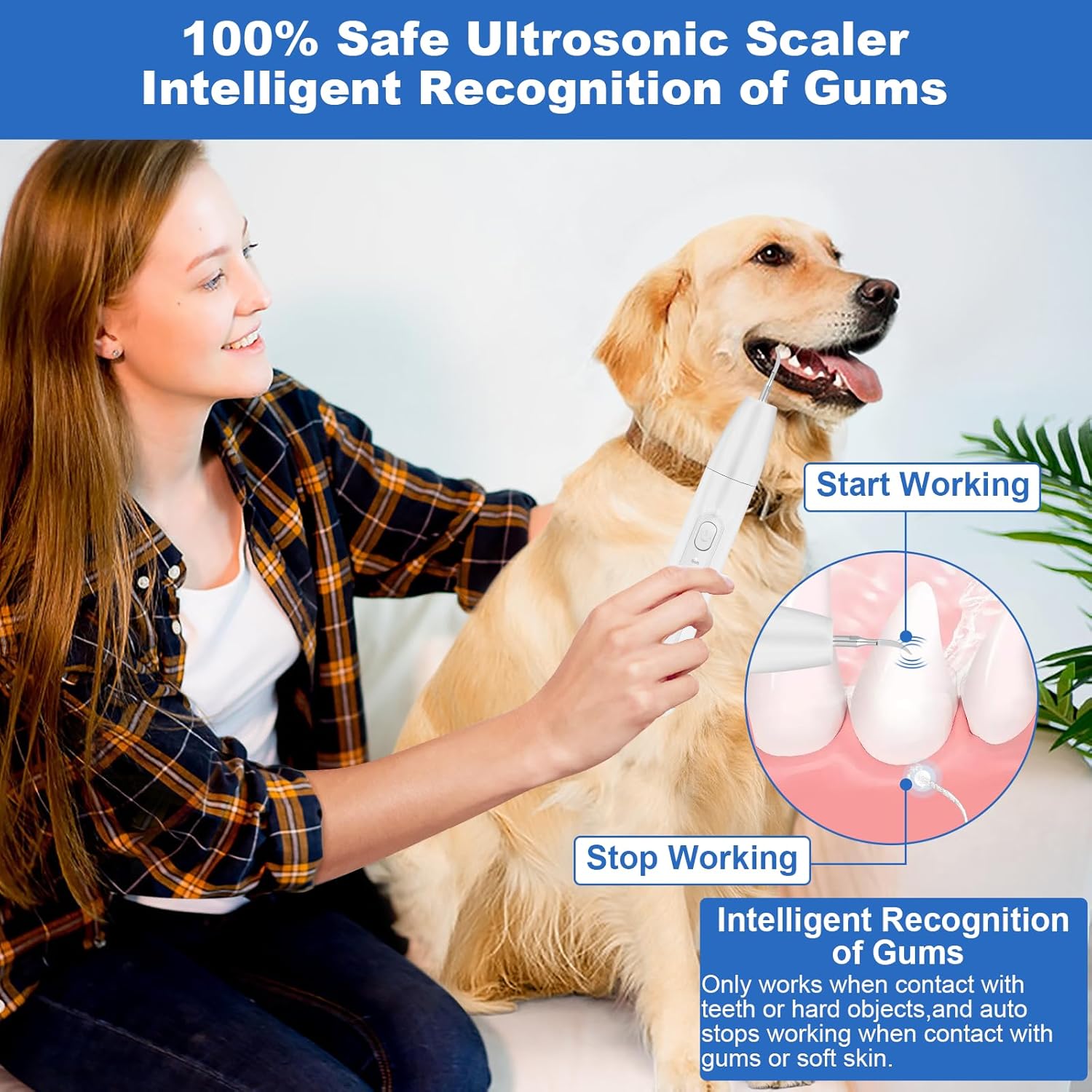 Dog Tooth Brushing Kit, Dogs Teeth Cleaning Kit with Led Light, 3 Modes Doggie Plaque and Tartar Remover, Dental Care for Cat,Low Noise Ultrasonic Dog Teeth Cleaner,Snow White