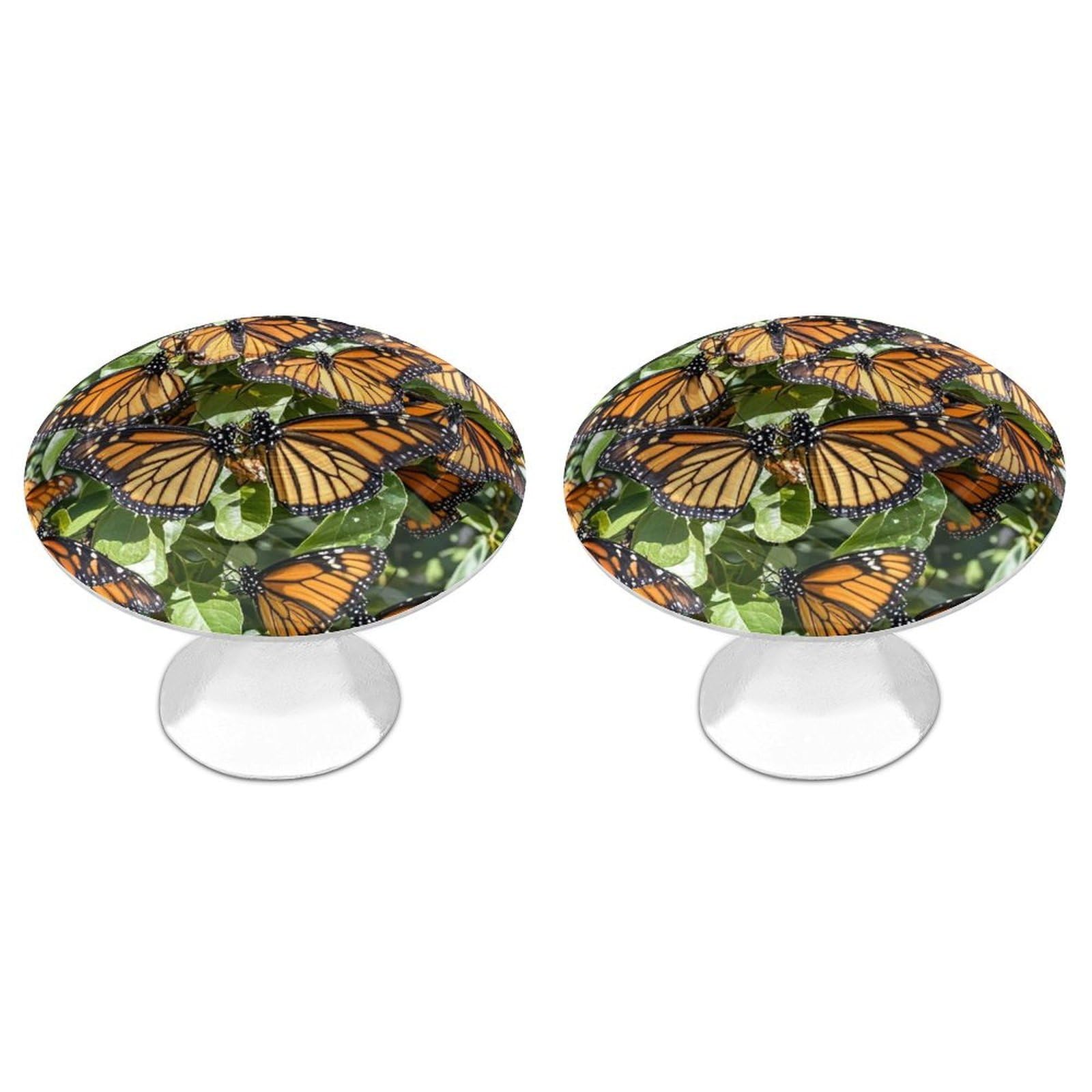 FekiLoot Round Cabinet Knob 2 Pack Kitchen Drawer Knobs Stainless Steel Round Drawer Pulls Modern Cabinet Hardware Heaps of Orange Monarch Butterflies Drawer Hardware for Dresser Closet Door Knobs