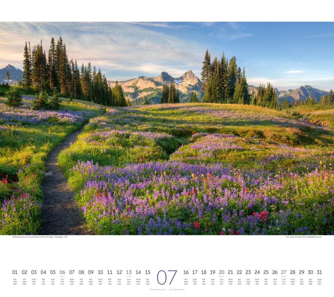 Wege Kalender 2025, Wandkalender im Querformat (54x48 cm) - Landschaftskalender mit traumhaften Pfaden in der Natur