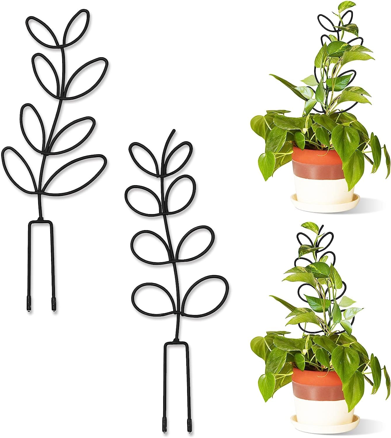 See full amazon price history chart for Tusmad Indoor Plant Trellis Leaf Shape Garden Trellis for Climbing Plant Metal Wire Stake for Potted Plant Houseplant Lover Gift Leaf Shapes Mini Pla (4) Tusmad Indoor Plant Trellis Leaf Shape Garden Trellis for Climbing Plant Metal Wire Stake for Potted Plant Houseplant Lover Gift Leaf Shapes Mini Pla (4) (B0CD7GTXJD) Amazon Price History, Amazon Price Tracker