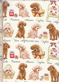 Amazon | 【FUWARI・染布 シリーズ オックス プリント