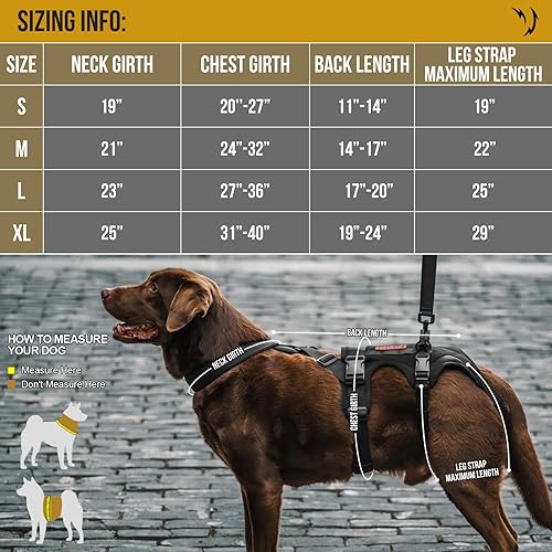 Miniatura 3 de OneTigris Arnés de elevación trasera para perro, arnés para perros grandes para patas traseras, soporte de cadera para perros caninos, ideal para
