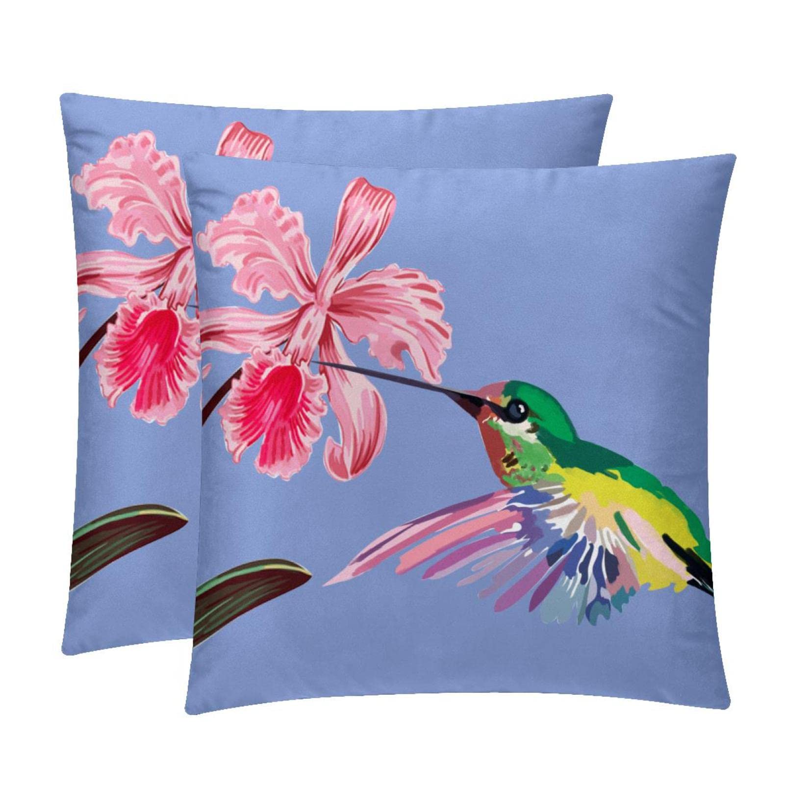 Housse de coussin lombaire colibri fleur Lot de 2 TBOUOBT pour déco maison