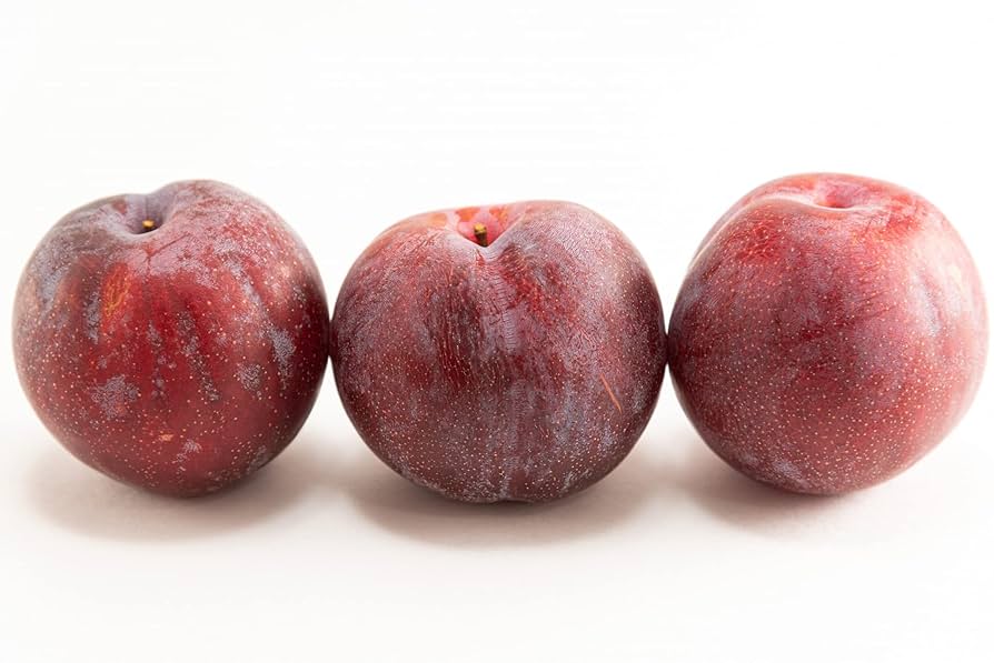 大きなすもも 2L〜3L 3キロ 楽天市場】佐賀県産 すもも （プラム） 秀品 L〜3Lサイズ 約350g