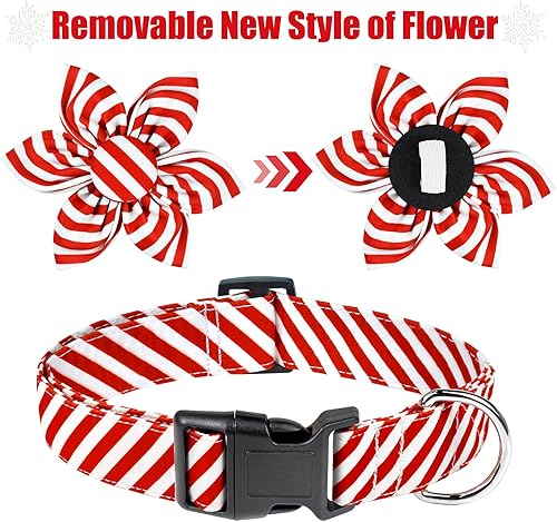 Miniatura 7 de Malier Collar de Navidad para perro con flor, collar rojo de Navidad con hebilla, collar de algodón ajustable para perros pequeños, medianos y