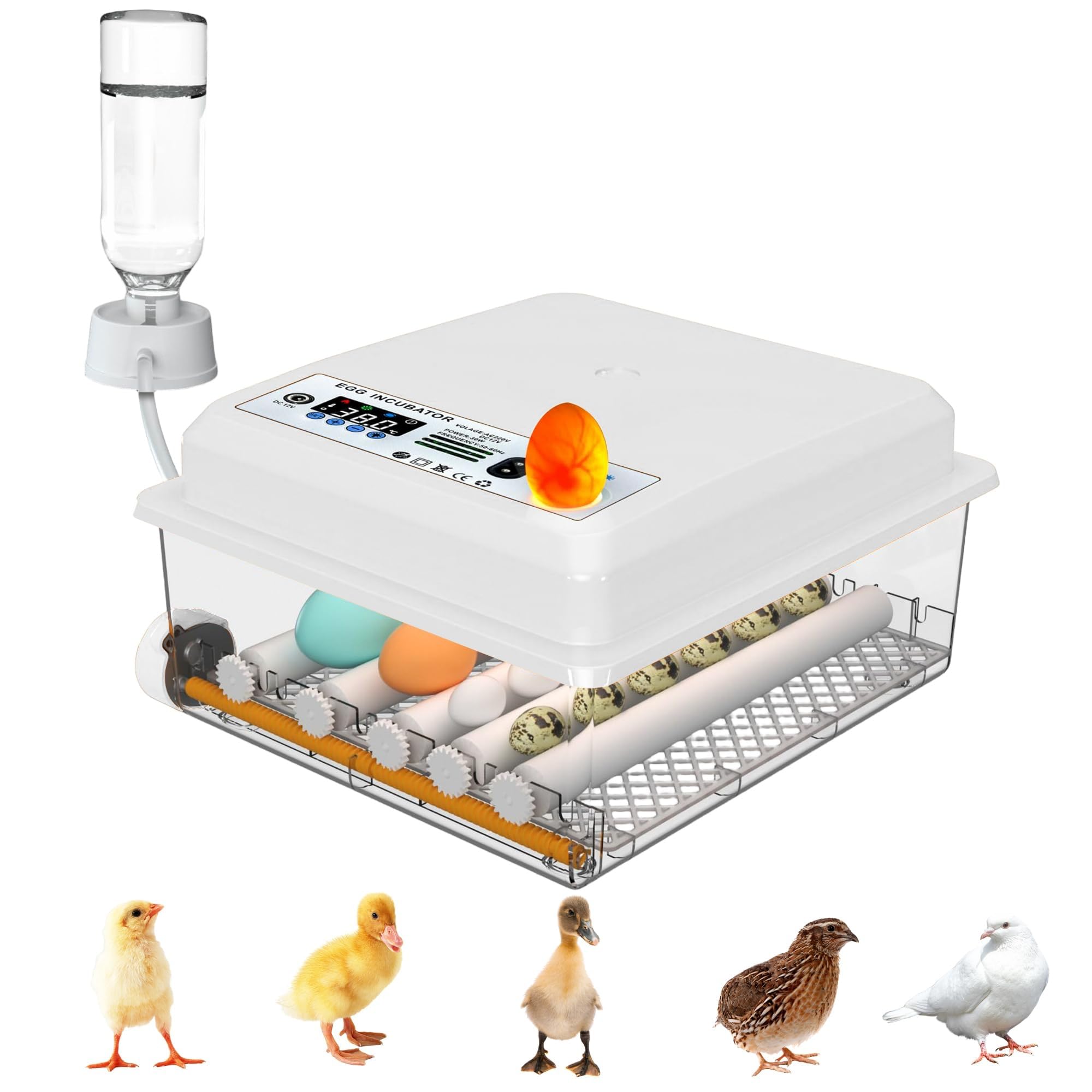 Incubatrice Uova Automatica 12-16 Uova con Girauova a Rulli Regolabili, Controllo Temperatura, Aggiunta Automatica dell'Acqua e Sperauova Integrato, Bianco